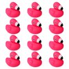 TOYMIS 12pcs Flamingo Rubber Duck, Cute Float Rubber Duck Rubber Ducks Bath Toys Bathtub Duckies Mini Rubber Ducks for Shower Birthday Party Favors Home Decoration Classroom Prizes