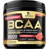 BCAA Powder, 4g BCAAs 2:1:1, 1g Glutamine, B6 - Pre Workout Drink Energy Boost & Post Workout Muscle Recovery Amino Acids Supplement for Men & Women - Keto, Sugar Free, Watermelon Flavor - 45 Servings