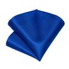 DiBanGu Men's Solid Royal Blue Ties Wedding Plain Necktie Pocket Square Cufflink Tie Clip Set