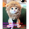 RosyLife Lion Mane Wig for Cat Costume Pet Adjustable Washable Comfortable Fancy Lion Hair Cat Clothes Dress for Halloween Christmas Easter Festival Party Activity (Brown)