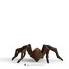 Schleich Wizarding World of Harry Potter Collectible Figurine Aragog for Kids Ages 6+
