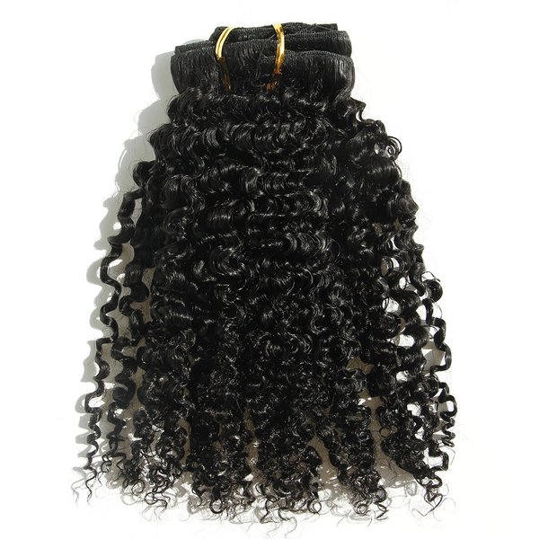 Ms Fenda Brazilian Remy Virgin Hair Kinky Curly Natural Color African American Clip In Hair Extensions 120Gram 7Pcs/Set (18", 120Gram/Set)