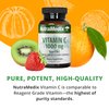 NutraMedix Vitamin C 1000mg - Antioxidants Supplement for Immune Support & Heart Health - Vitamin C from Ascorbic Acid - Vegan, Non-GMO (120 Vegetarian Capsules)