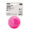 Outward Hound by Planet Dog Squeak Ball Bouncy Fetch Dog Toy, Pink