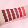 ORANOT 6 Pcs Pink Dark Red Purple Wine Red Lipstick Matte Sets,Velvet Lipstick for Women Long Lasting Waterproof 24 Hours Lip Stick Lip Stain Makeup Gift Sets,labiales mate 24 horas originales