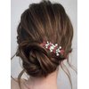 Catery Rhinestone Bride Wedding Hair Comb Red Crystal Side Comb Bridal Hair Piece Clips Headpiece Bridesmaid Hair Accessories for Women and Girls (Red)