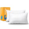 OTOSTAR Pack of 2 Throw Pillow Inserts, 12 x 20 Cushion Inner Soft Fluffy Plump Stuffer Cushion Pads White Decorative Pillow Inserts