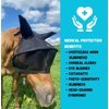 Solar Vizor Horse Fly Mask with Ears (Size Mini),100% UV Eye Protection for Horses with Uveitis, Photosensitivity, Ulcer, Head Shaking, Solid Durable EVA Lining Across The top Half of The Solar Vizor