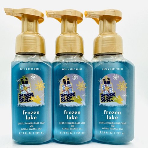 3 FROZEN LAKE GENTLE FOAMING HAND SOAP bath body 8.75 FL OZ