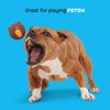 Barkbox BARK Ricochet The Nutria Dog Toy – All-Rubber Design with Fun Squeak, Perfect for Enthusiastic Chewers and Durable Playtime
