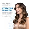 Aloxxi Colourcare Hydrating Shampoo, 10.1 Fluid Ounce
