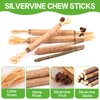 FOIMAS Silvervine Sticks Cat Toys,10pcs Cat Chew Stick Catnip Chew Toy Interactive Cat Toy for Cat Kitten Teeth Cleaning Treat Toys Indoor Outdoor