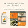 DOSE for Your Liver Cleanse Detox & Repair, Organic Milk Thistle Supplement with Turmeric, Dandelion, Ginger, and Orange, Promotes Optimal Liver Function,16oz Bottle, 3 Pack (3 Weeks Supply)