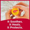 Carmex Medicated Lip Balm Jar, Lip Moisturizer for Dry, Chapped Lips, 0.25 OZ - (4 Packs of 3)