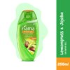 Fiama Di Wills Lemongrass And Jojoba Gentle Exfoliation Shower Gel, 250 ML