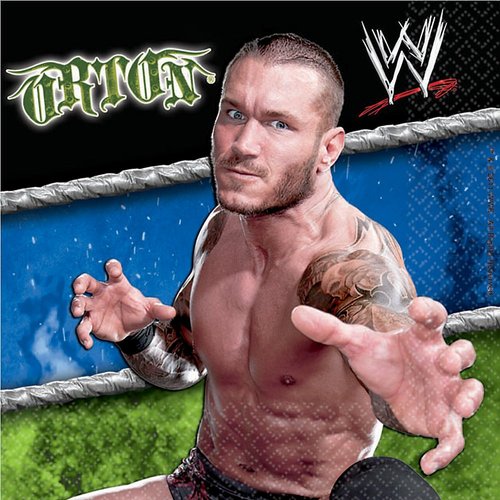 Wwe Beverage Napkins (16-pack)