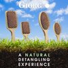 Giorgio Eco Friendly Wooden Bristle Hairbrush - Small Detangling Brush and Hair Growth Brush for Thick or Long Hair - Oval Paddle Hair Brush Made with Anti Static Beechwood, Silicone Massage Cushion