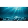 AWERT 30x18 inches Undersea Theme Aquarium Background Sunshine Underwater World Fish Tank Background Durable Polyester Background