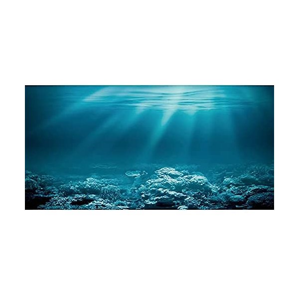 AWERT 30x18 inches Undersea Theme Aquarium Background Sunshine Underwater World Fish Tank Background Durable Polyester Background