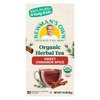 Newman's Own Organic Sweet Cinnamon Spice Herbal Tea with Rooibos Tea with Organic Ginger 20 Individually Wrapped Tea Bags Per Box (Pack of 6) USDA Certified and Kosher Cinnamon Tea Caffeine-Free