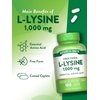 Nature's Truth L Lysine 1000mg | 100 Coated Caplets | Essential Amino Acid | Vegan, Non-GMO, & Gluten Free Supplement