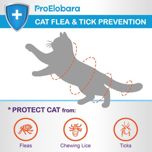 Flea and Tick Prevention for Cats & Kittens: Waterproof Topical Cat Flea and Tick Treatment – Fast-Acting & Long-Lasting At Home Flea Control for Cats Over 1.5 lbs and 8 Weeks or Older – 6-Dose Supply
