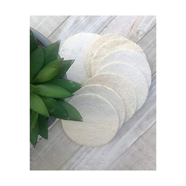 BeNat. Natural Loofah Sponge -5 Pads- Zero-Waste. Biodegradable. Eco-Friendly (Diameter 3")