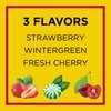 Carmex Daily Care Moisturizing Lip Balm Stick, Cherry, Strawberry, Wintergreen, SPF 15, 0.45 oz, 3 Ct (4 pack) (Bundle)