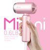 DBTEN Handheld Mini Hair Dryer,110 Rated Voltage Professional High-Speed Lightweight Ionic Blow Dryer with Diffuser and Concentrator Fast Drying for Home Salon (Pink)