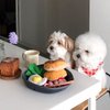 Woof² Sunday Brunch Set Soft Plush Dog Toy of 5 Parts - Pancake, Bacon, Vegetables, Sunny-Side Up Egg and Plate, Play Fetch & Hide Treats for Mental Training, Paper Crinkle Sound, Small Medium Pets