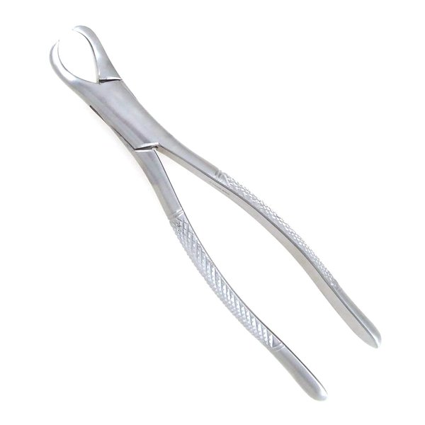 23 Cow Horn Dental Forceps - SurgicalExcel 86-023