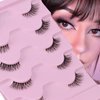 Half Lashes Fluffy 3/4 False Eyelashes Natural Look Wispy Clear Band False Cat Eye Lashes that Look Like Extensions Soft Handmade Reusable Half Eyelashes(5 Pairs Pack)