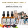 Immunity Pack Liquid Vitamins (Pack of 3) Sambucus Nigra Elderberry Mist, Zinc Boost Mist and Vitamin C Mist (Extra Strength) - Natural Immune System Support - Non-GMO Gluten-Free - 240 Days Supply