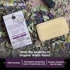 The Grandpa Soap Company Witch Hazel Bar Soap Vegan, Natural Face & Body Soap | Organic Witch Hazel + Lavender | Paraben Free Bar Soap | Unisex| 4.25 Oz.