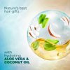 sunsilk Coconut Water & Aloe Vera Volume Hair Shampoo, 195 ml / 6.5 fl.oz