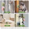 Hey Jumi 3Pcs Catnip Toy Balls with Three Mixed Flavors, Nature Edible Cat Silvervine Chew Toys, Healthy Kitten Wall Treats, Teeth Cleaning Toys for Indoor Cats, Gift Box for Kitten Pet