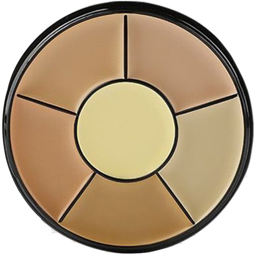 Vodisa Cream Concealer Palette-6 Color Makeup Contour Kit-Professional Blemish Face Conceal Correct Contouring Highlighter Pallet-Base Foundation Beauty Sleek Cream Make Up Concealer Palette (Light)