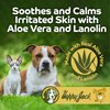 Happy Jack Mitex Ear Mites Treatment for Cats & Dogs, Itchy Ear Relief for Dogs, Mite Medicine for Cats, (1oz)