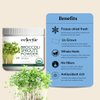 Eclectic Herb Broccoli Sprouts Powder 122 Grams