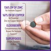 New Chapter Zinc Supplement, Fermented Zinc Complex, ONE Daily for Immune Support + Skin Health + Non-GMO Ingredients, Easy to Swallow & Digest, 30 Count (1 Month Supply)
