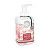Michel Design Works Scented Foaming Hand Soap, Santa's Eve