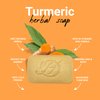 HERBOGANIC Turmeric Herbal Soap | Herbal Bar Soap with Benefits of Turmeric | Nourishes Skin | For Healthy, Radiant Skin | All Natural Bar Soap for Men and Women | 5 oz Bar (Pack of 6)……