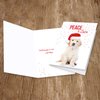Canopy Street Labrador Love Holiday Card Pack / 25 Cards And Envelopes Pack/Festive Santa Hat Puppy Design With Greeting Inside/Dog Christmas And New Year Cards