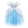 Axaxa Girls Cinderella Costume Halloween Princess Dress Up Fancy Birthday Party Ball Gown with Accessories