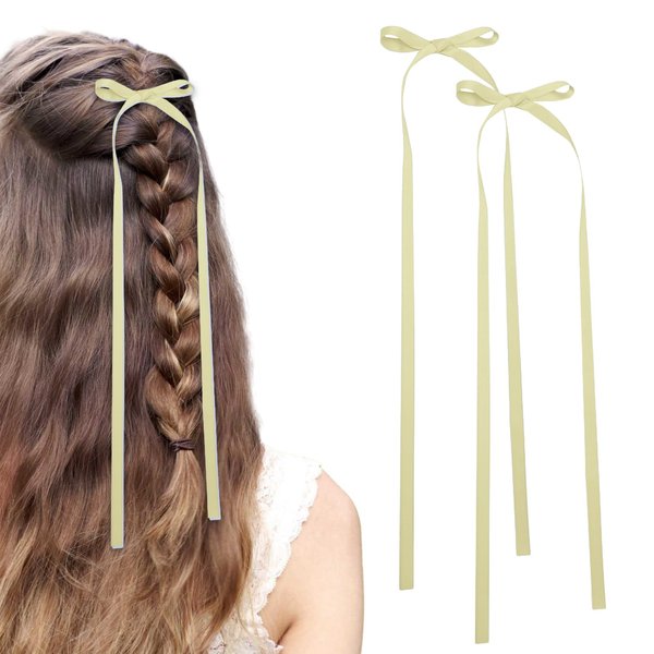 Bow Hair Clips,2 PCS Light green Hair Bows Tassel Hair Ribbons,Long Hair Bow Satin Hair Clip Ribbon Accessories for Women (Light Green)