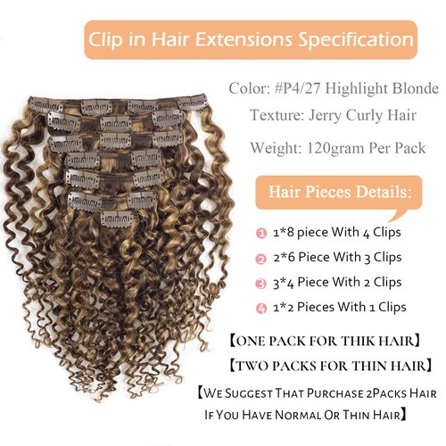 Clip in Human Hair Extensions Afro Jerry Curly 3B 3C Real Hair Clip in Extensions For Black Women Natural Black Color 100% Brazilian African American Hair Extensions (20 inch, Jerry Curly #P4/27)