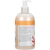 Ginger Lily Farms Botanicals Conditioning Liquid Hand Soap, Coco Mango, 100% Vegan & Cruelty-Free, Coconut Mango Scent, 12 Fl Oz