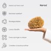 Naroa Soft Natural Sponge | Gentle Sea Sponge for Bathing Healthy Skin | Unbleached Shower Body Scrubber Puff | Eco Friendly Bath Spa Sponge (Soft - Small)