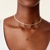 PAVOI 14K Gold Plated Layered Necklace with Dog Tag Pendant | Layering Necklaces for Women with Herringbone/Snake Chain | Trendy Pendant Necklace for Women (Yellow Plated)