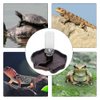 Tfwadmx Reptile Water Bottle, Turtle Food and Water Bowl Automatic Feeders Waterer Tortoise Dispenser Bottle Feeding Dish for Lizard Chameleon